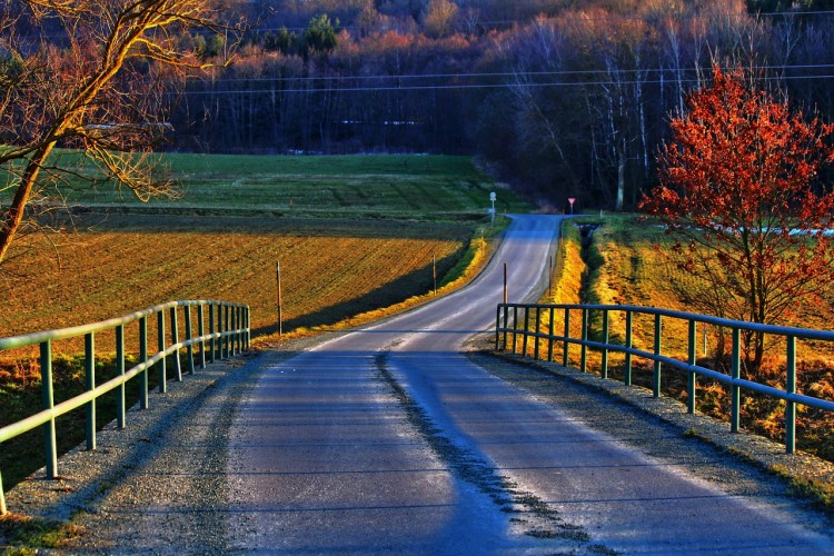 country-road-644685_1280