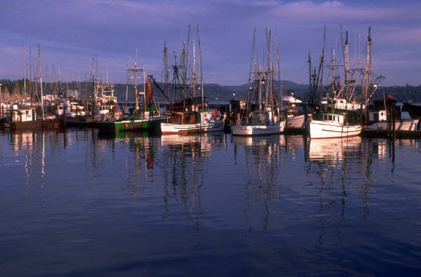Moss-Landing-Harbor