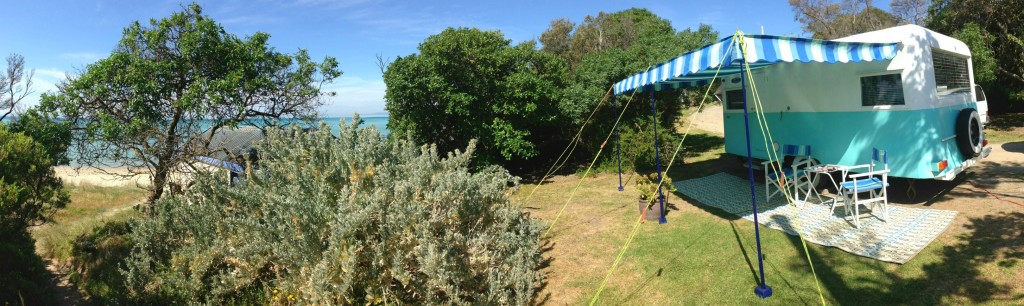 myrtle 2