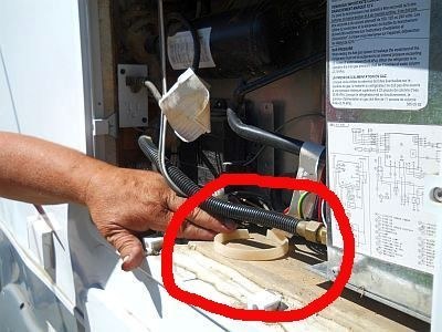 keep wasps away using flea collars