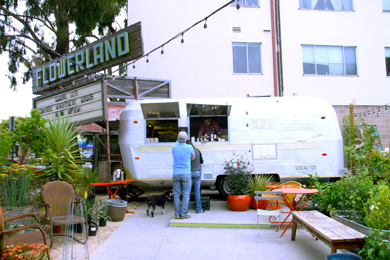 flowerland-local-123-patrons