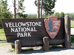 Yellow stone