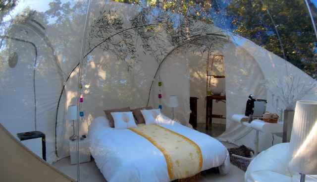 bubbletree tent room