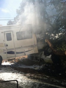 Motorhome-crashes-into-tree