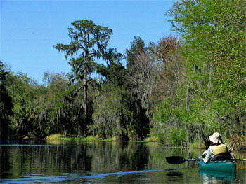Canoeing-at-Alafia-River-State-Park-350x263