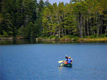 Canoeing-at-Honeyman-State-Park-350x263