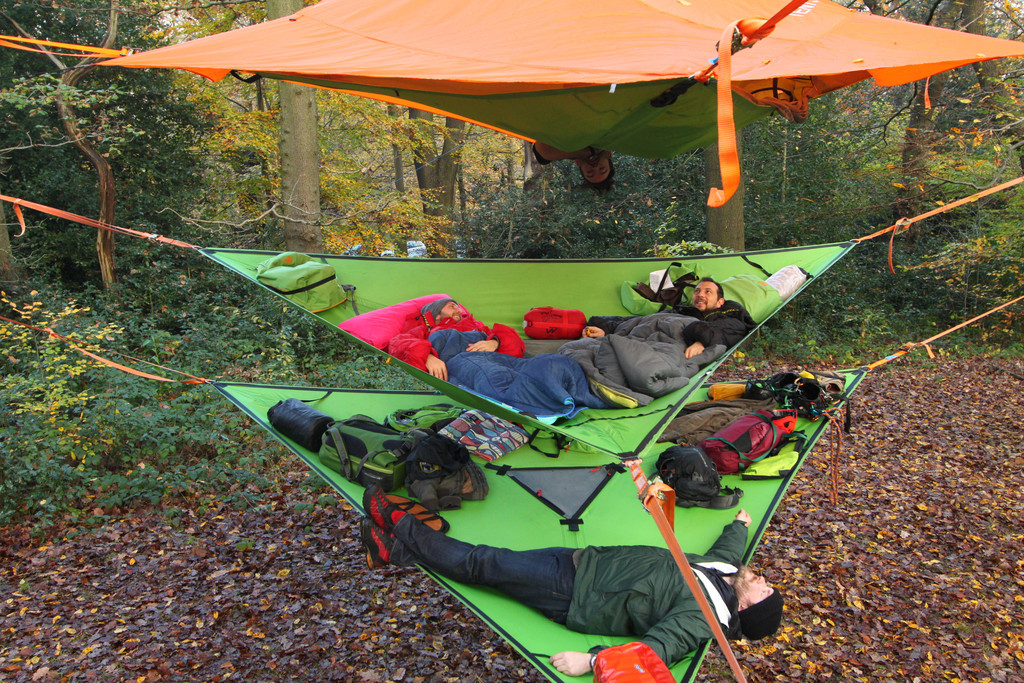 Trillium Hammock