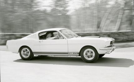 1965 Ford Mustang Shelby GT350