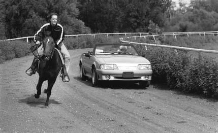 1991 Ford Mustang (Car) vs. Mustang (Horse)