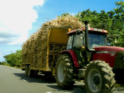 How to Make Fuel Out of Sugar Cane