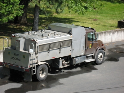 Problems With Biodiesel