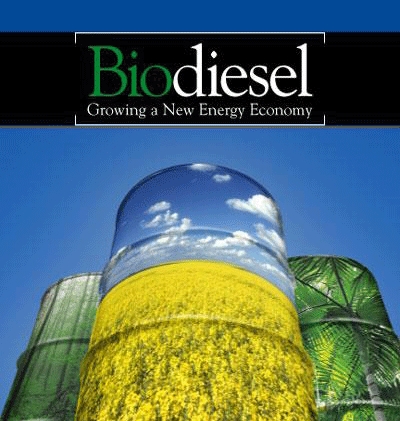 How Does Biodiesel Work?