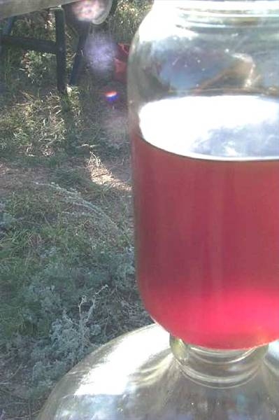 How to Use Deep Fryer Oil for Biodiesel