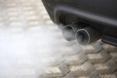 How Does Car Exhaust Affect Earth's Plants & Animals?