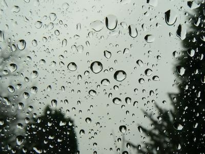 How to Choose Auto Window Tint