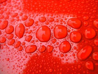 How to Remove Leaf Stains From a Car's Finished Paint Surface