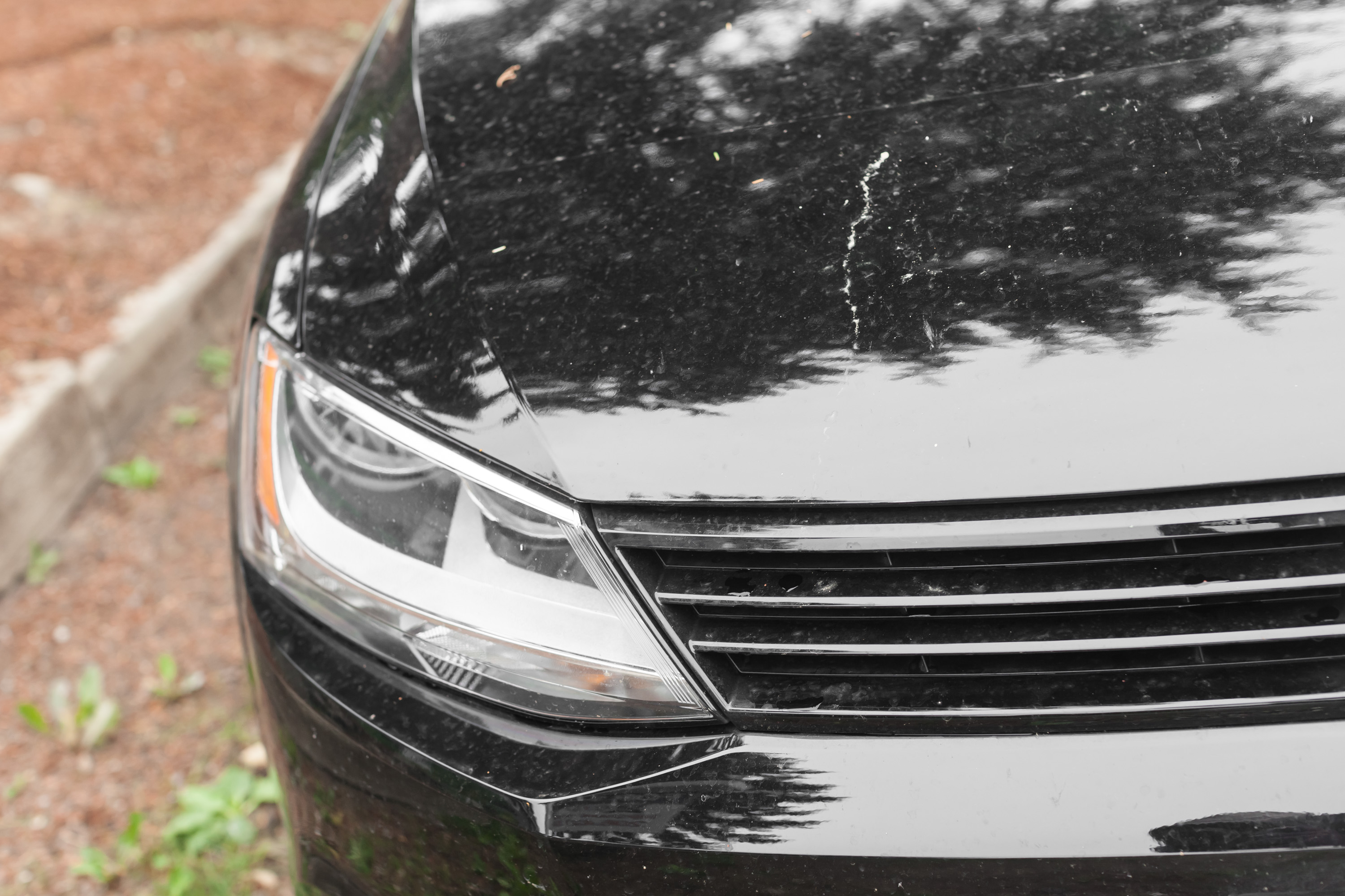 Tips on Cleaning Love Bugs Off You Car (with Pictures)