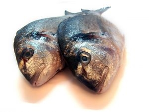 How to Get Rid of Fish Smells in the Car