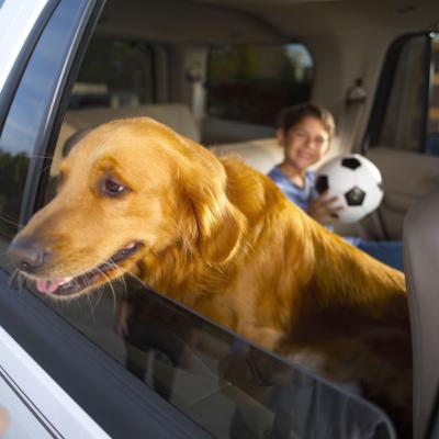 How to Replace Car Carpet With Rubber Flooring