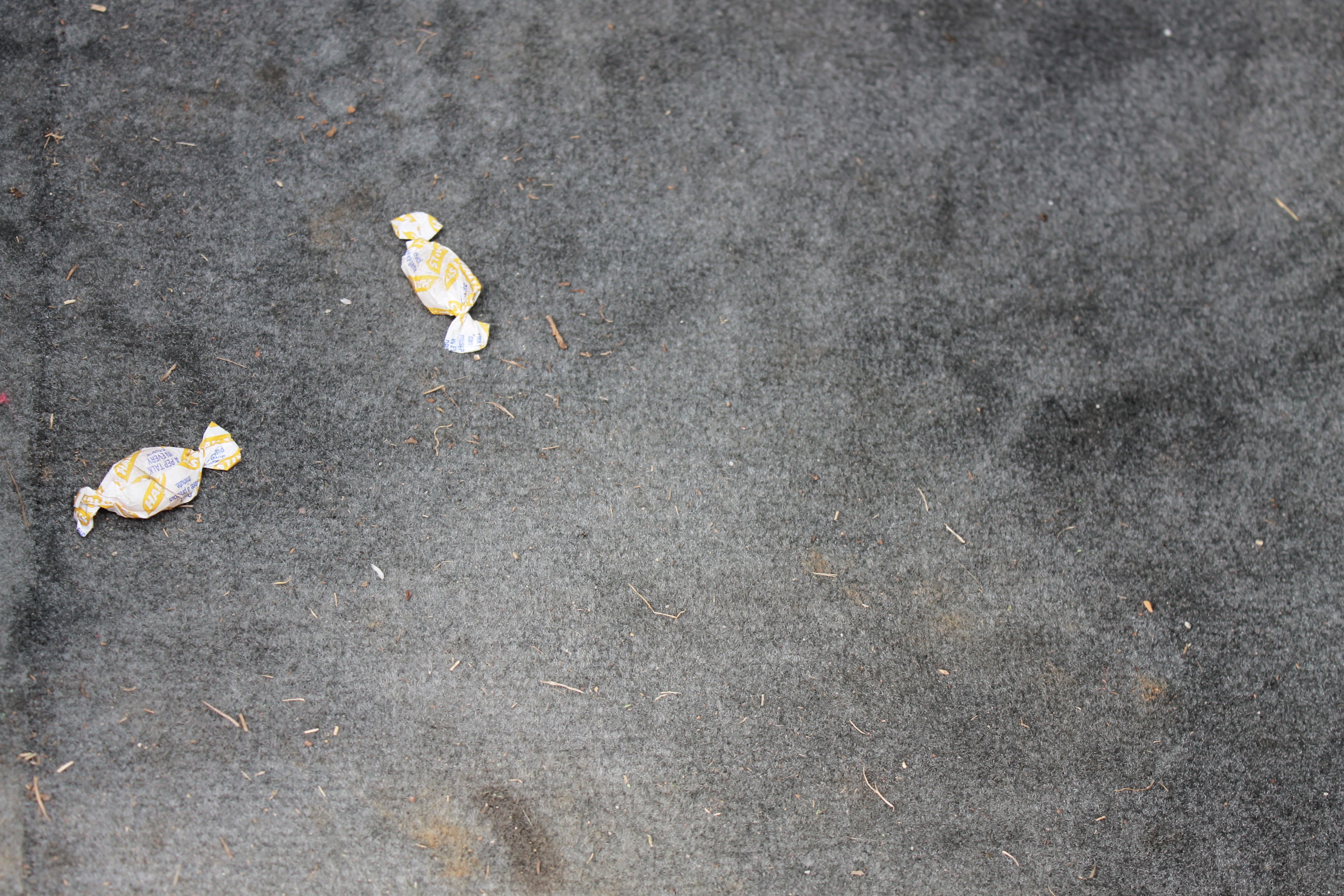 Best Way to Clean Car Carpet (with Pictures)