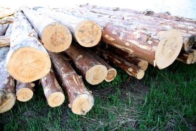 What Kind of Wood Should Be Used in a Trailer?