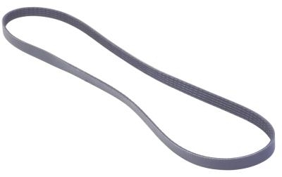 How to Quiet a Serpentine Belt