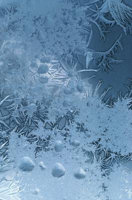 How to Stop Wiper Fluid From Freezing
