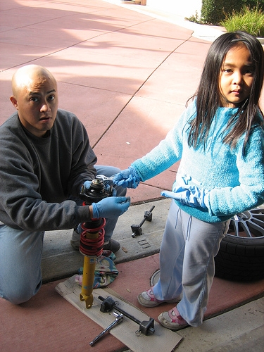 Struts Vs. Shocks