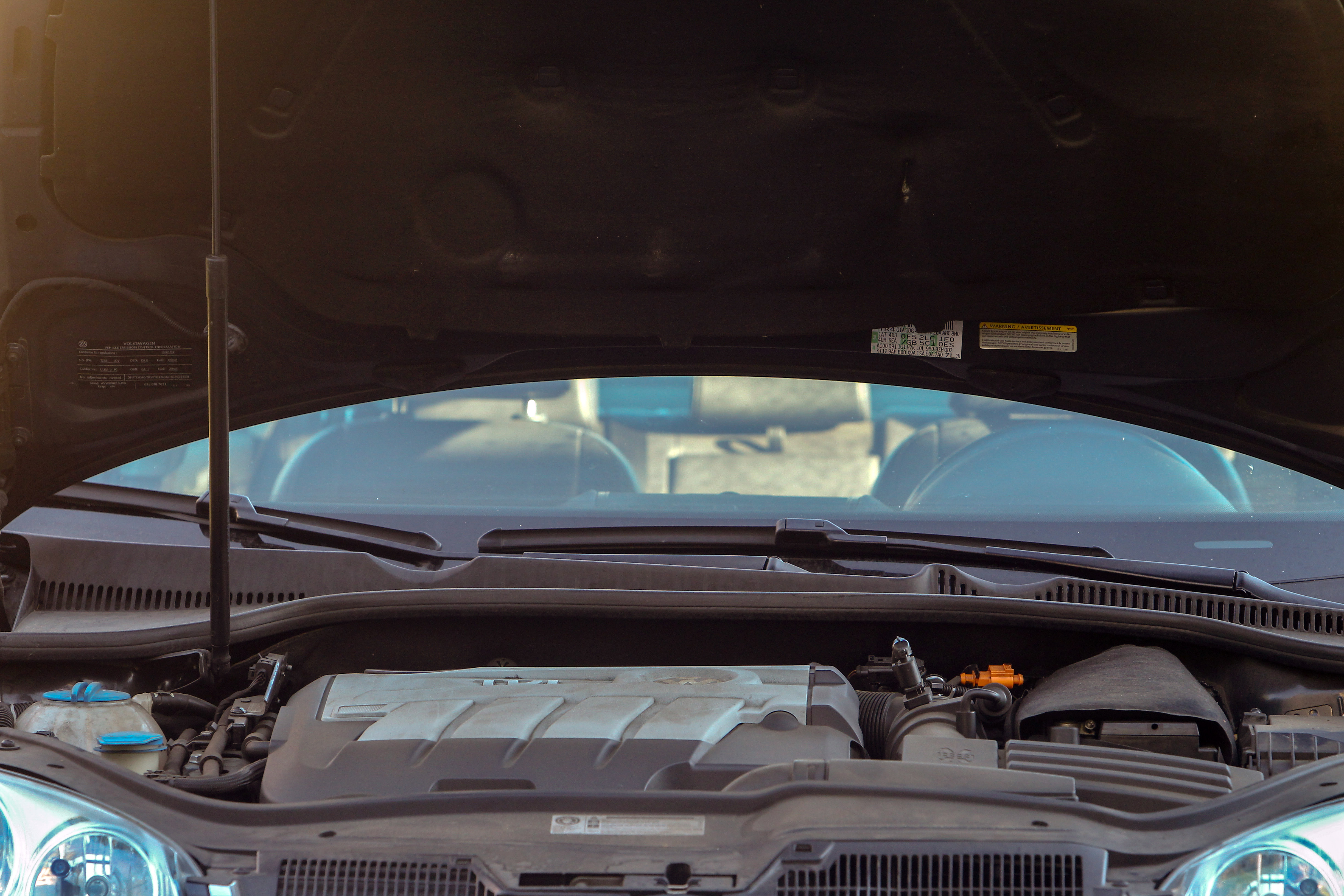 How to Get Rid of Rats in Cars (with Pictures)