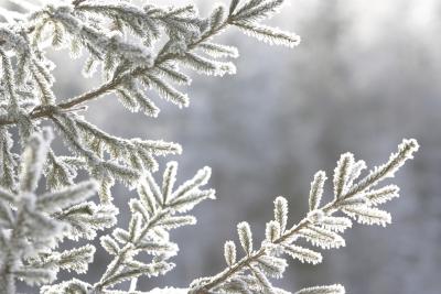 How to Inflate Tires in Cold Weather