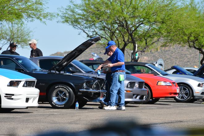 Ford Mustangs Car Club