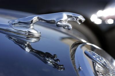 How to Replace a Hood Ornament