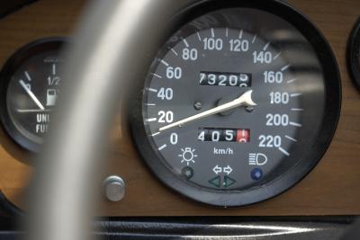 The Accuracy of Vehicle Speedometers