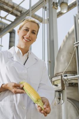 The Effects of Ethanol on a Catalytic Converter