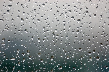 What to Do if Your Sunroof Is Open in the Rain