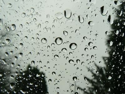 How to Fix a Leaky Car Window Seal