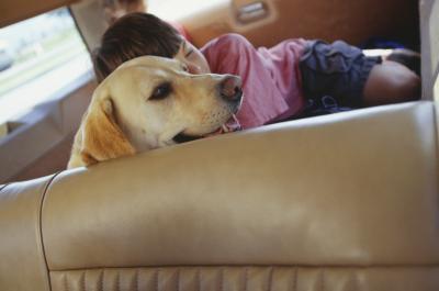 How to Fix Leather Seats Damaged By Rain