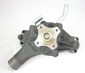 How to Change a Bravada's Water Pump