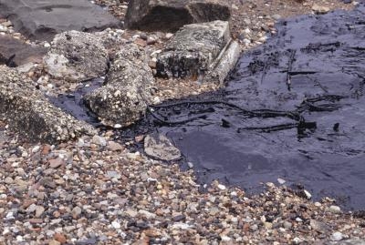 Comparison of the Weight of Water & Automobile Oil