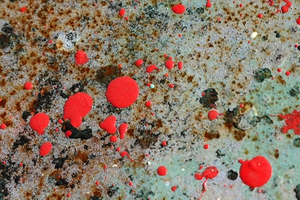 How to Get Paint Splatters off of Car Exteriors