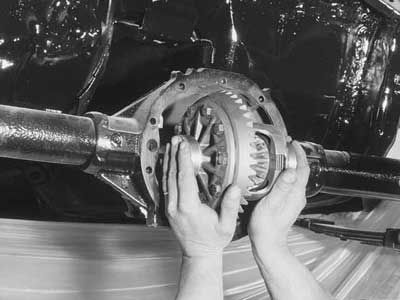 Re-Rearing A T/A
