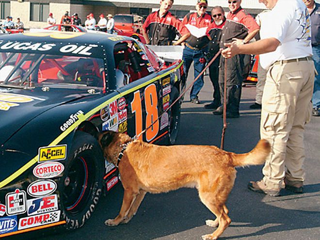 Ctrp 0409 12 Z+tire Soak+tire Sniffing Dog