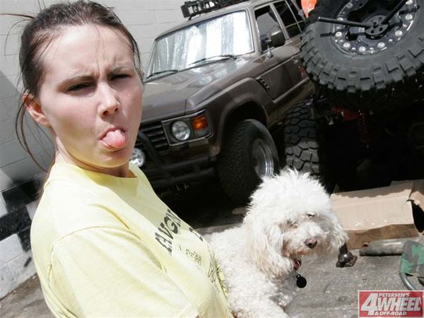 1985 Toyota Land Cruiser  Leah Light And Lulu Photo 9161461