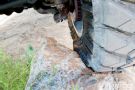 Nitto Trail Grappler Mud Terrain Tires - 4-Wheel & Off-Road Magazine