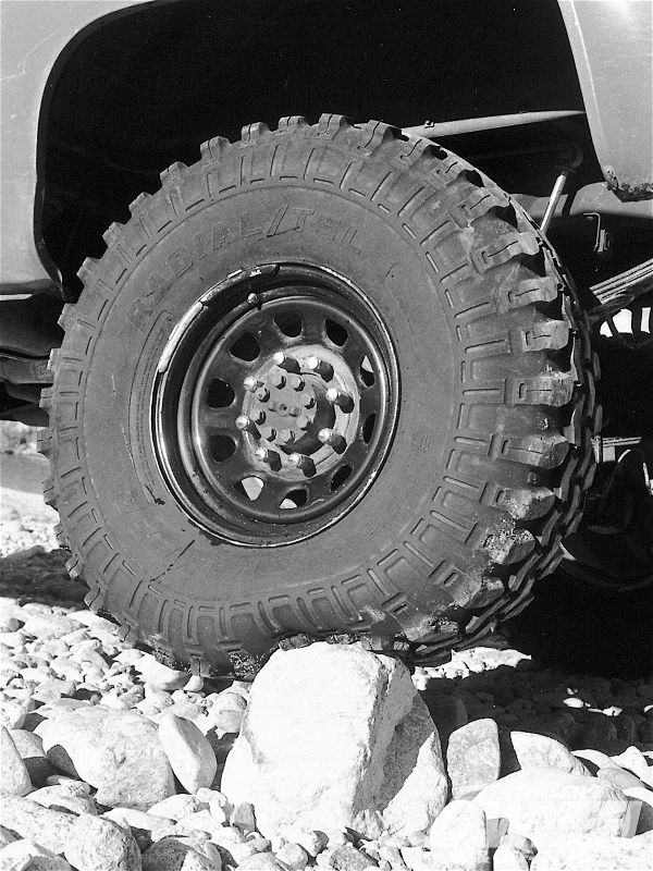 131 9903 The Tread Mill super Swamper Radial Side Shot Photo 31348771