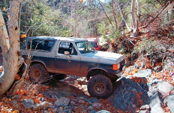 Ford Bronco Photo 109653170