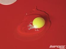 Impp 1108 11 o+paint strip+egg