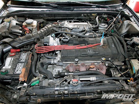 Impp_0908_04_z+1993_acura_integra_gs+engine_bay