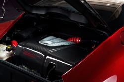 POGEA RACING 4C Centurion engine cover