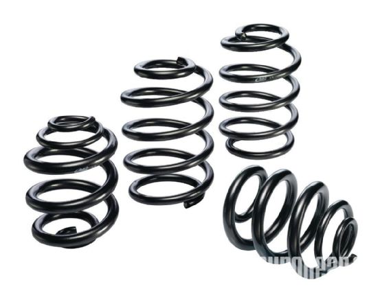 Epcp 1211 11+gear+eibach springs